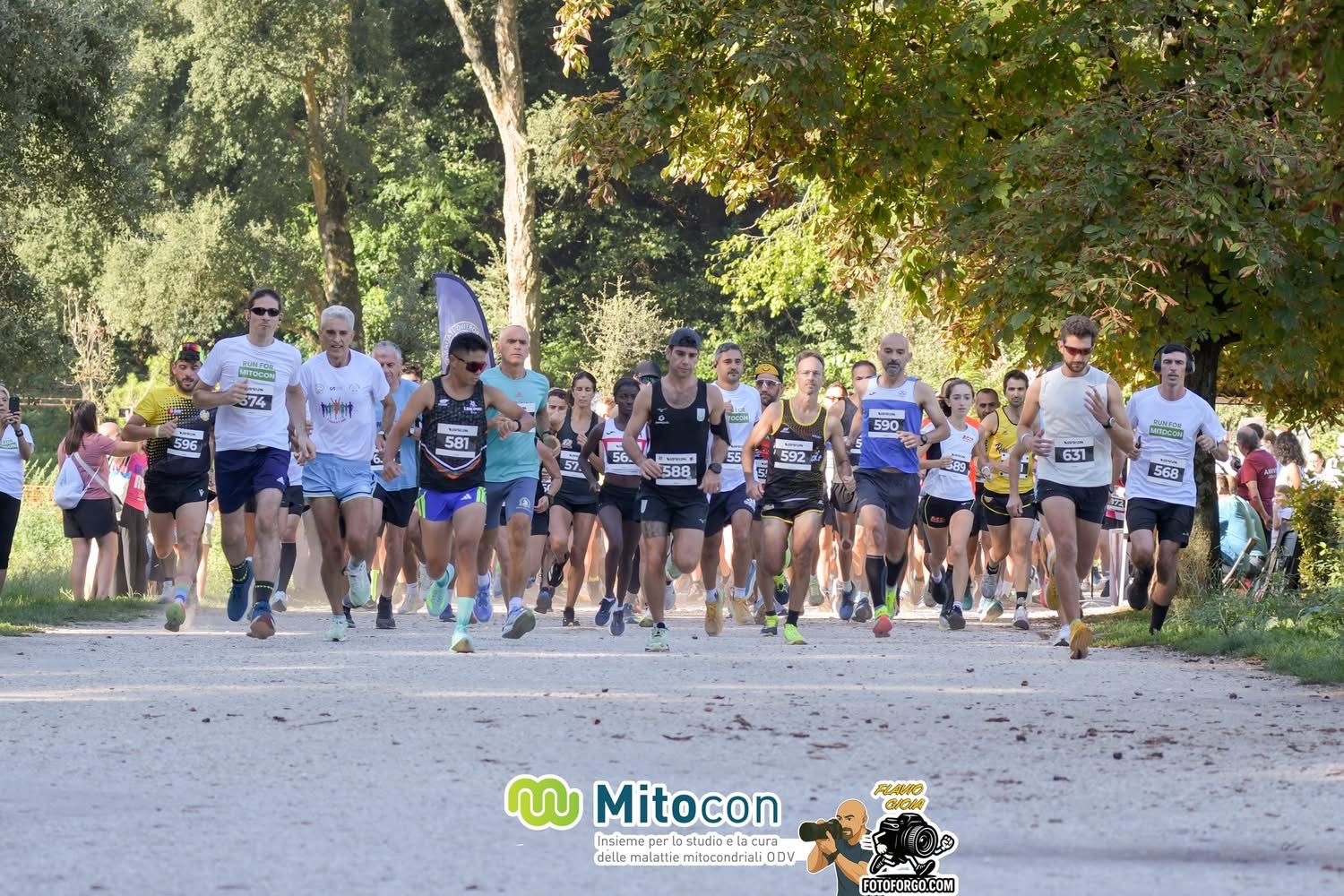 RUN FOR MITOCON 2025